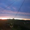 brandolomeo