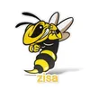 alessandrozisa338
