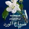 usera341omz33b
