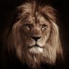 the_good_guy0130