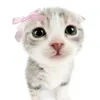 thay_6980