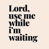 cyhle_nkosy_25