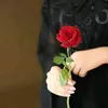 يوميات نعيمه