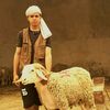 abdo.solo288