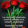 el.joseluiz