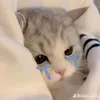 _.ngwnaa._911