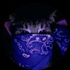 sani_blossom