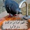 user2529984537841