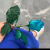 m_al_8769