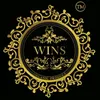 WINS PRODUCT