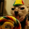 catlickinglolipop