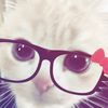 olshop_656