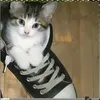 criszhia_mae