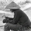 letuankhang220