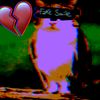 chtotochornoe_vaeb33