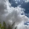 le_8p