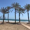 nadia_123_68