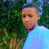 abdii201546