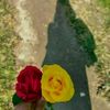 sadia__afrin_07