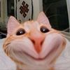 sa3dallah0