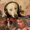 averageradioheadfan2