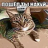 zavertinkalp