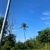 starrajaa