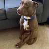 preciousboy2000