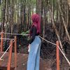 lan.lanulandari