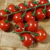 tomato8471