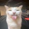 alban_.l