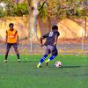 mdinho7
