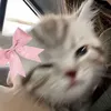 lxmkazelz