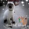 mitzi.27