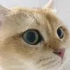 user1541911815128