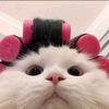 hil_kyy4hh