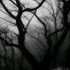7syeda_rumaisa7