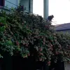 ngoanxinhyeu_081