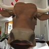 beecatxo_2ka10