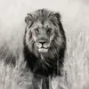 7_tgk