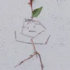 userhupev1g7h2