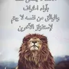 user5499213930177