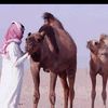 user4jhbpiti3e