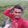 rakib81422