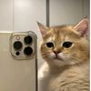 raihatul__