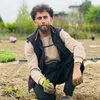 miran taha saed