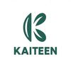 kaiteen.shoes