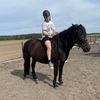 marta._.horselife