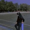 aprilia34562