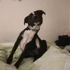 saretta_pappalardo